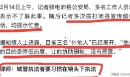 撕春联视频爆料者有哪些,背后真相与人物盘点